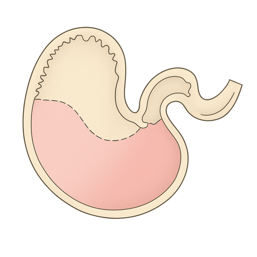 Gastroenterology