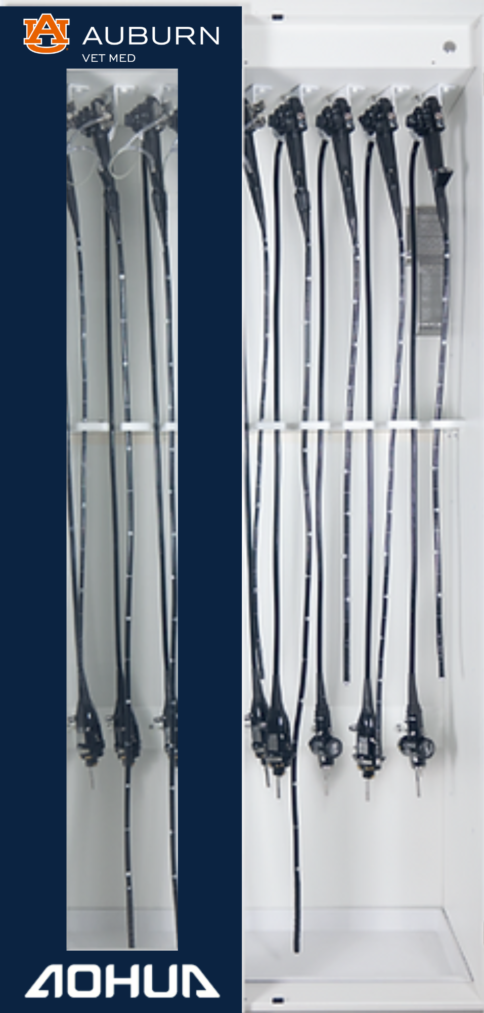 Endoscope Storage Cabinet