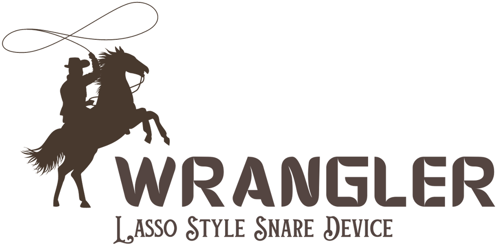 WRANGLER Lasso Style Endoscopic Snare