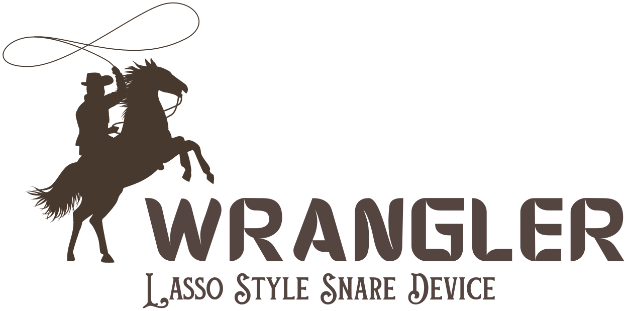 WRANGLER Lasso Style Endoscopic Snare