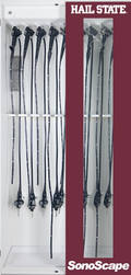 Endoscope Storage Cabinet
