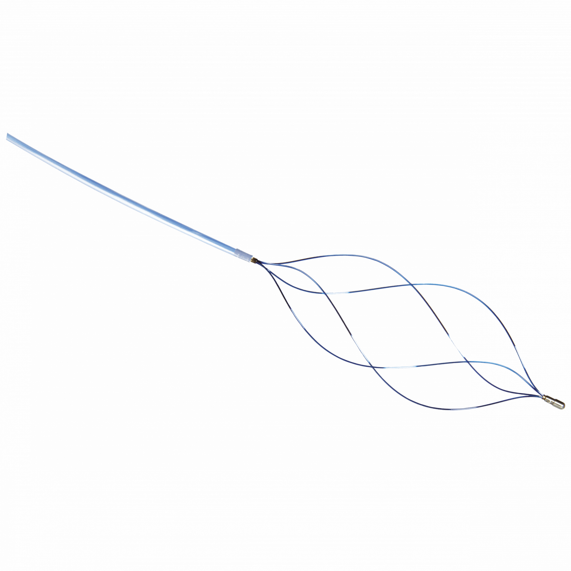 DUNCAN Veterinary Endoscopy Retrieval Devices